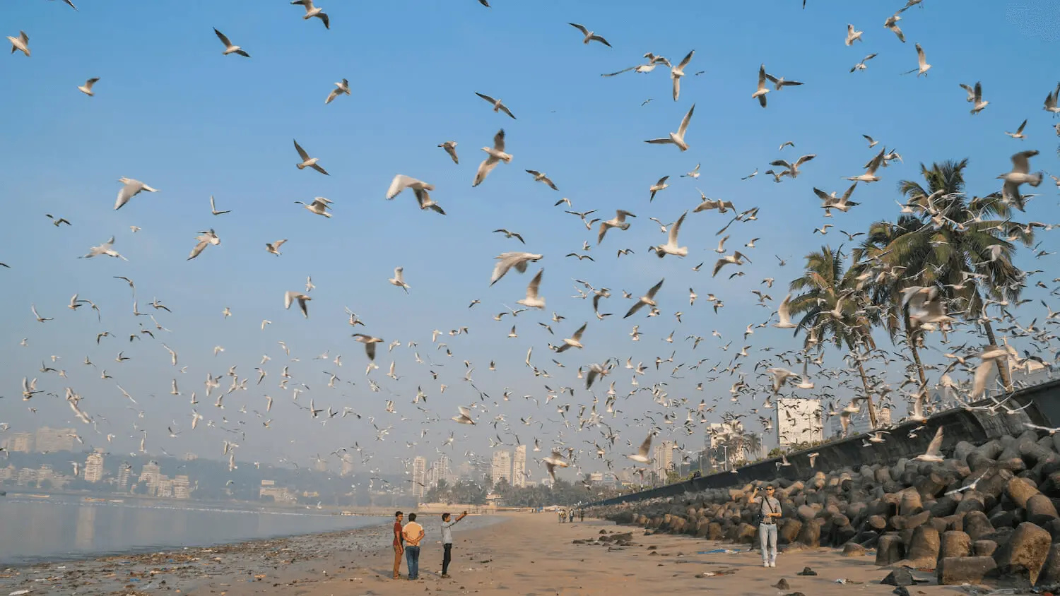 墨尔本 至 孟买机场 的航班