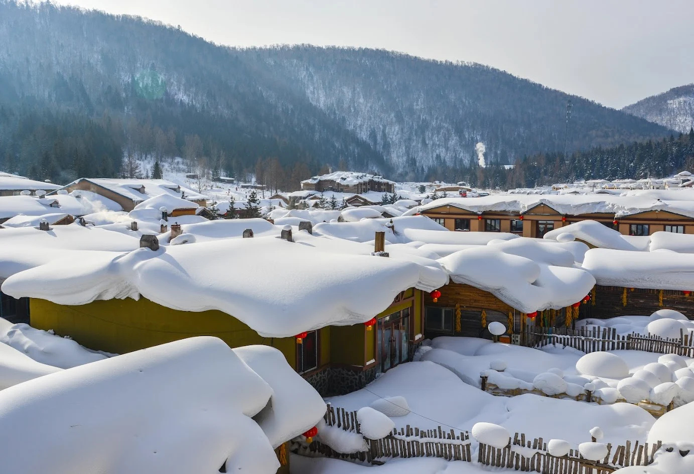 芽庄 至 哈尔滨 的航班