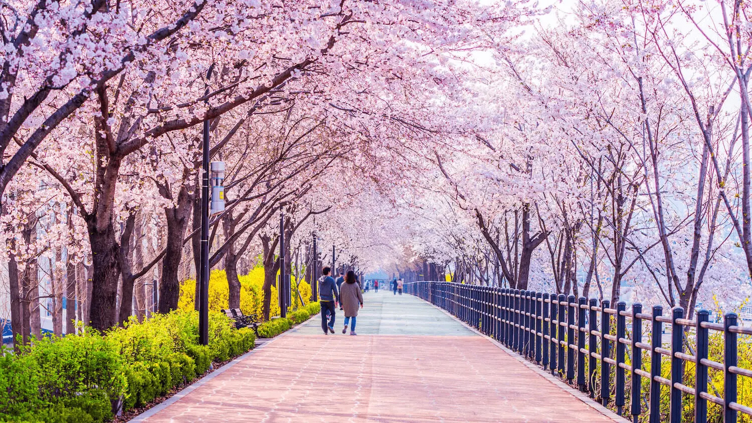 艾哈迈达巴德 至 首尔 的航班