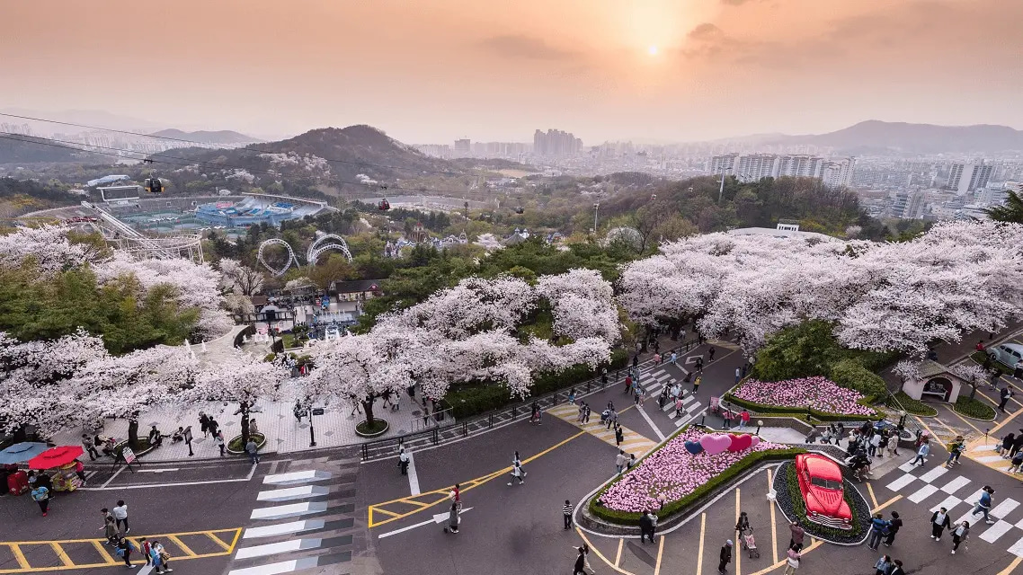 Vé máy bay đi Daegu