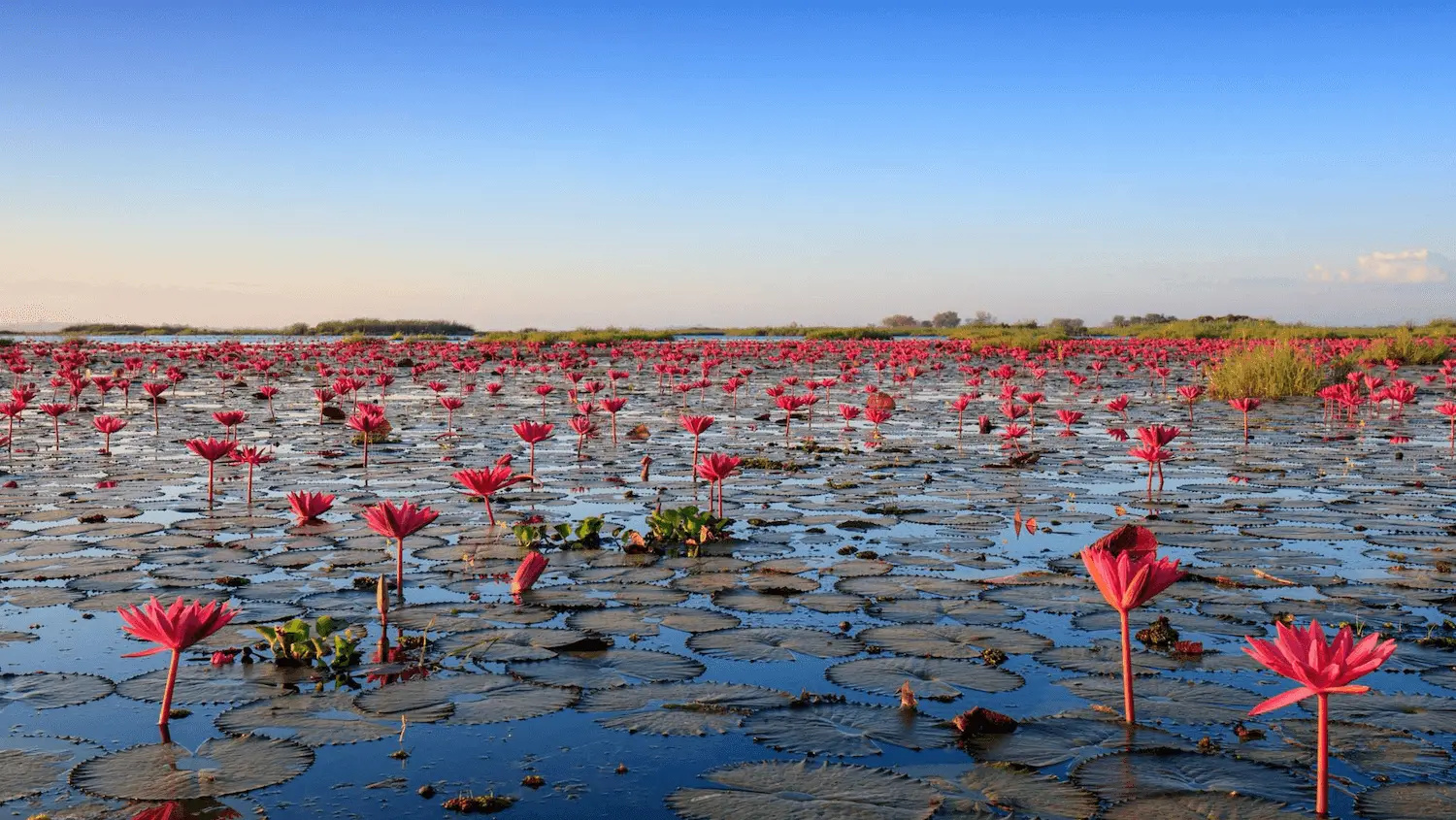 Vé máy bay đi Udon Thani