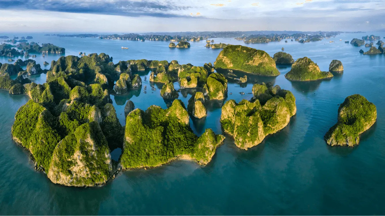 墨尔本 至 广宁 的航班