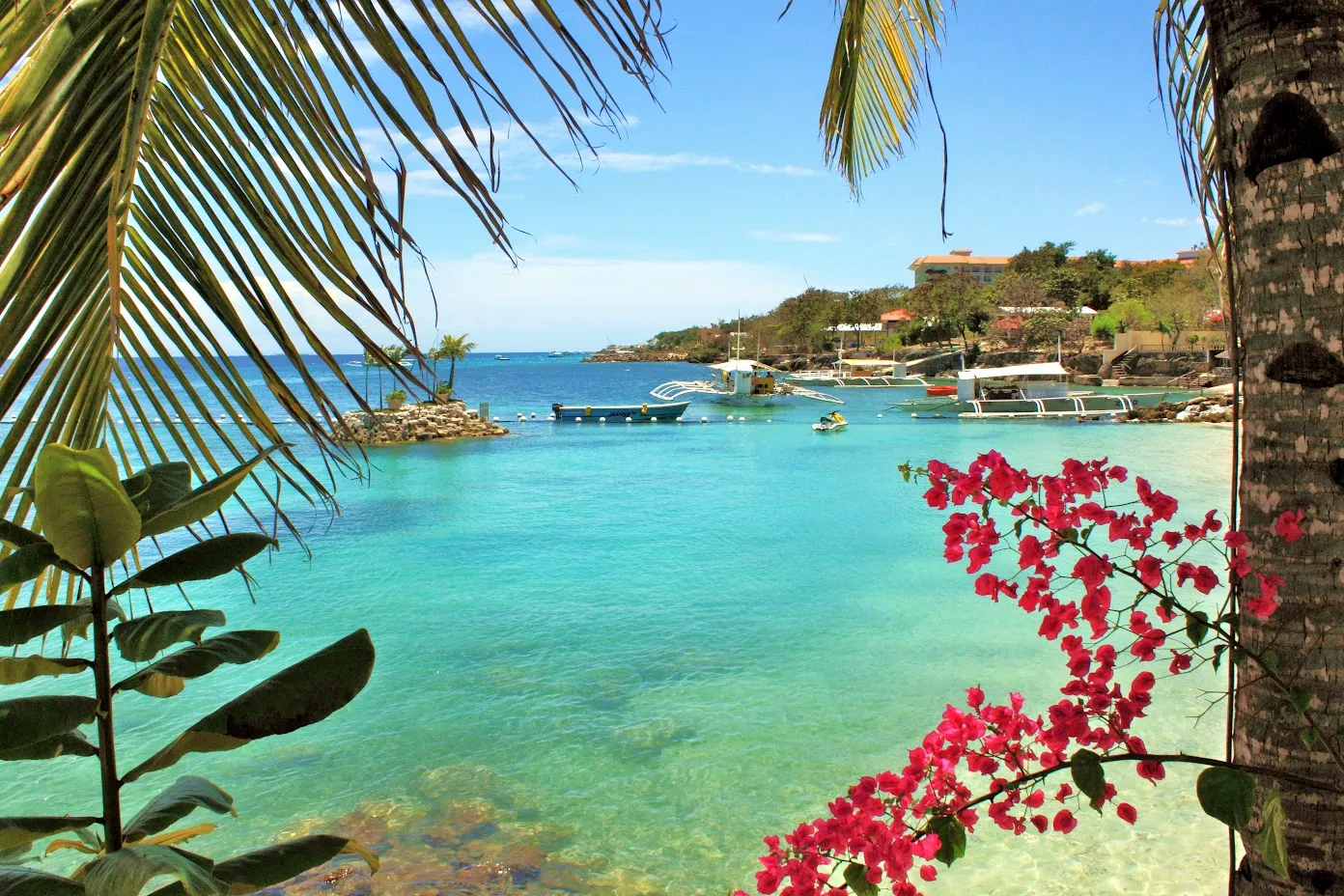 Lịch trình Cebu 3 ngày 2 đêm tự túc từ A đến Z