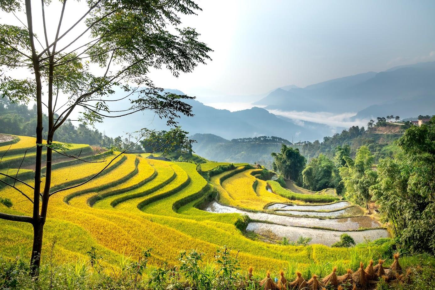 Travel Experience in Northeast Vietnam with Unique Destinations