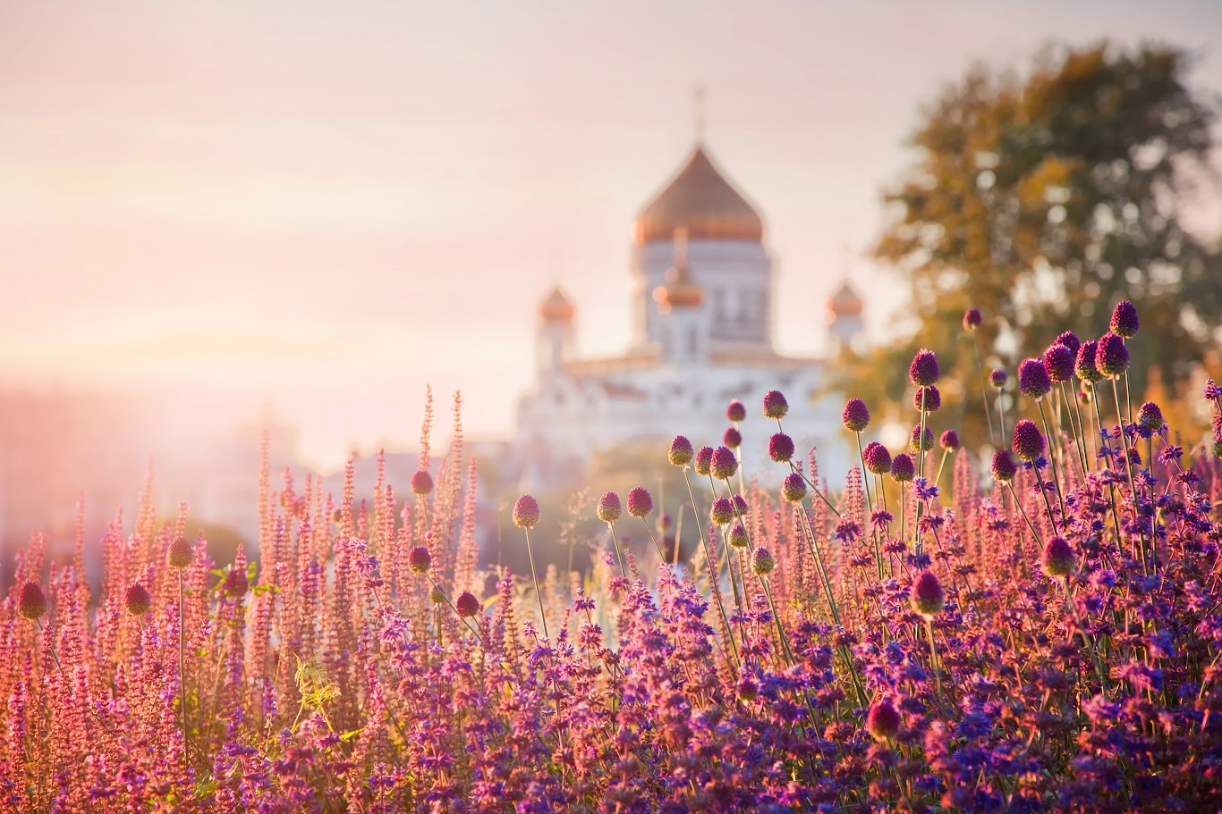 Vé máy bay đi Novosibirsk