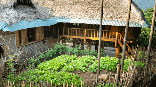 Buôn Ma Thuột đến 